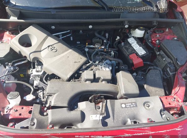2T3J1RFV4RW467553 2024 TOYOTA RAV4 Красный Вид сзади