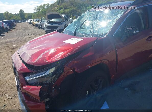 2T3J1RFV4RW467553 2024 TOYOTA RAV4 Красный Вид спереди