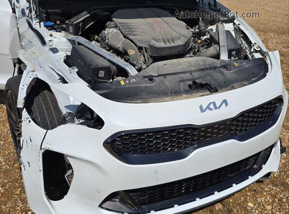 KNAE55LC9P6133662 2023 KIA STINGER White 