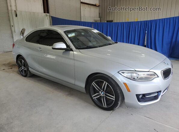 WBA2F9C36HV664915 2017 BMW 2 SERIES Silver Вид спереду