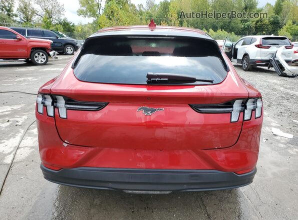 3FMTK1RM4MMA30135 2021 FORD MUSTANG Red Widok z tyłu