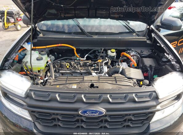 3FTTW8A35RRB49276 2024 FORD MAVERICK Black Вид ззаду
