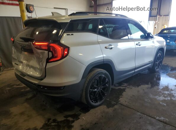 3GKALMEV4LL303088 2020 GMC TERRAIN Silver Rear right