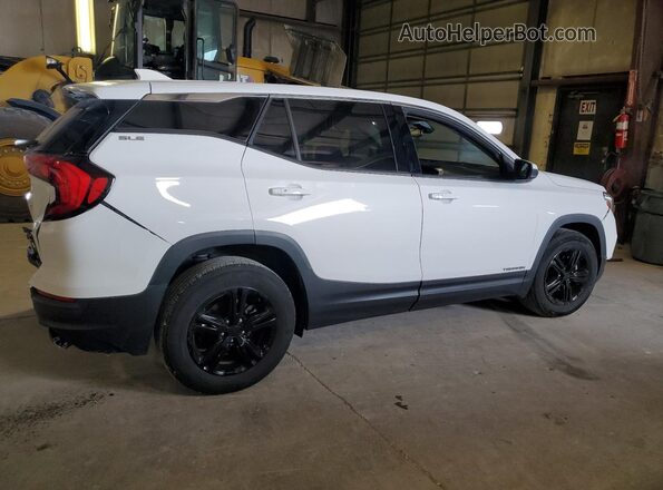 3GKALMEV9LL130636 2020 GMC TERRAIN White Задня права чверть