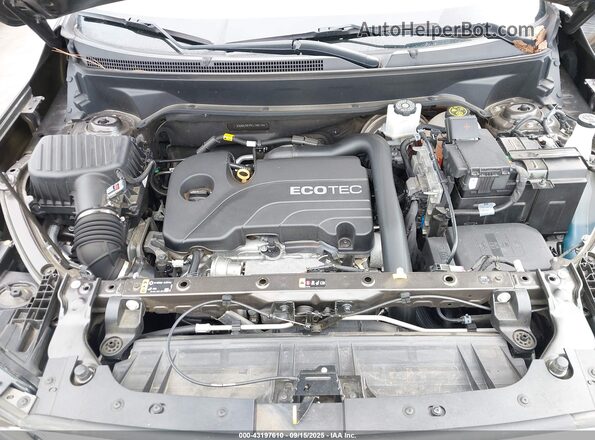 3GKALMEV9LL158114 2020 GMC TERRAIN Brown Вид ззаду