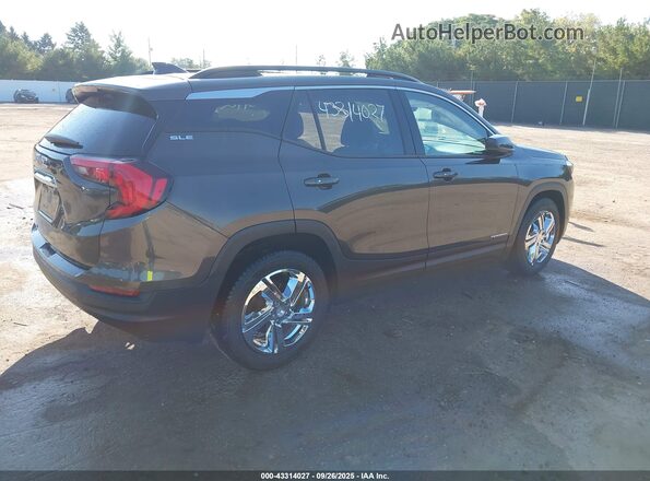 3GKALMEVXLL176752 2020 GMC TERRAIN Pewter Задняя правая четверть