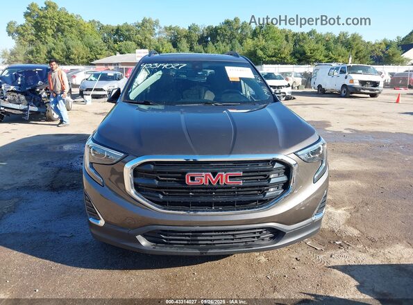 3GKALMEVXLL176752 2020 GMC TERRAIN Pewter Вид задней части салона