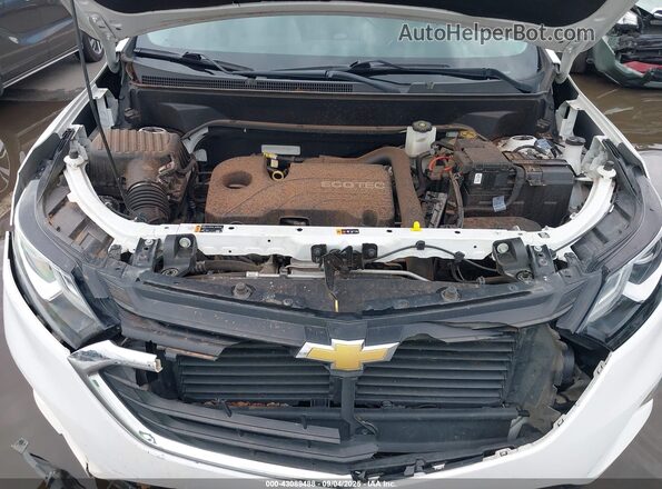 3GNAXHEV7LS721729 2020 CHEVROLET EQUINOX White უკანა ხედი