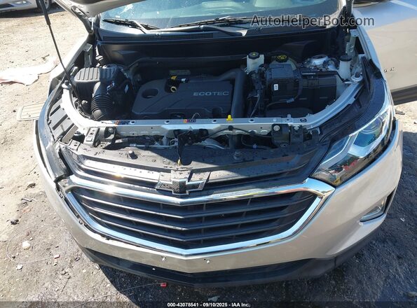 3GNAXJEV5LS711322 2020 CHEVROLET EQUINOX Серебряный Вид сзади