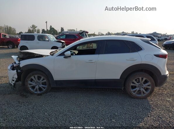 3MVDMACL7LM115115 2020 MAZDA CX-30 Белый Панорамный вид салона 360°