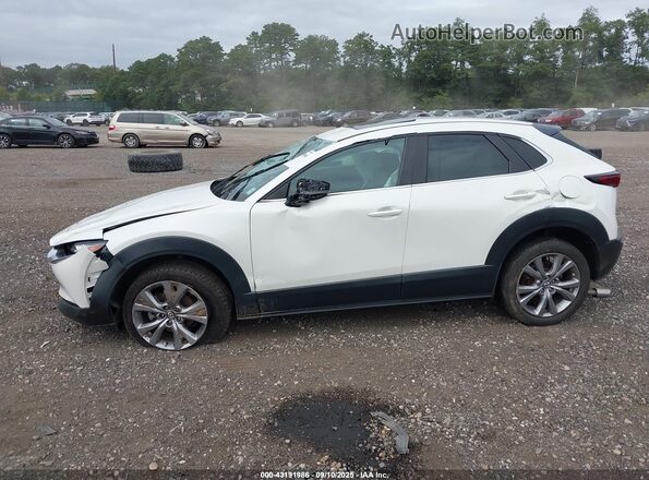 3MVDMBCL2MM262708 2021 MAZDA CX-30 White სალონის 360-გრადუსიანი ხედი