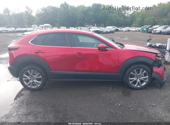 3MVDMBDL1LM105491 2020 MAZDA CX-30 Красный Вид задней части салона