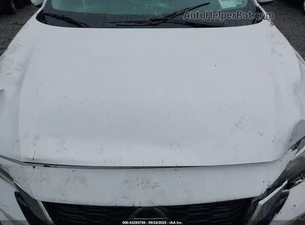 3N1AB8CV4LY219237 2020 NISSAN SENTRA Белый Вид сзади