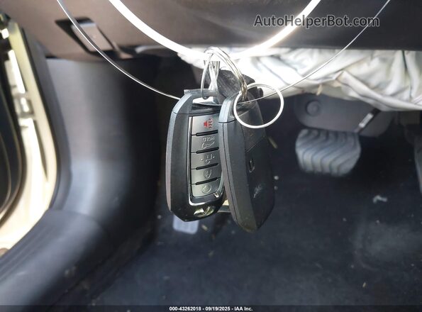 3PCAJ5BB7MF113710 2021 INFINITI QX50 White Vista del salpicadero