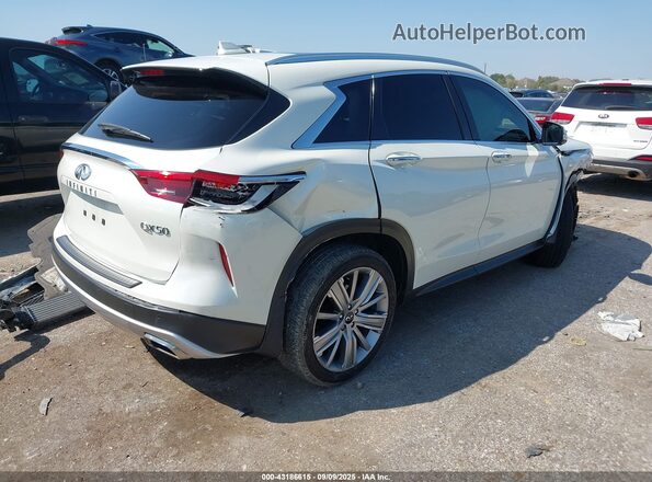 3PCAJ5CA1MF115104 2021 INFINITI QX50 White Հետևի աջ