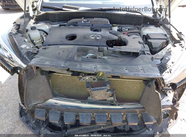 3PCAJ5CA1MF115104 2021 INFINITI QX50 White Հետևի տեսք