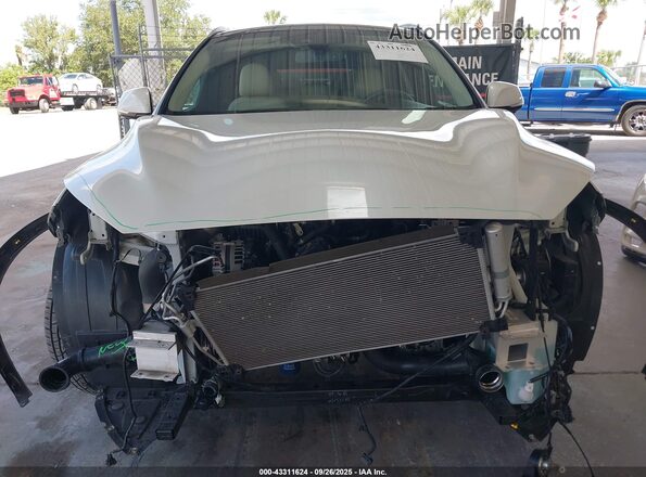 3PCAJ5CA5MF105529 2021 INFINITI QX50 White Widok wnętrza z tyłu