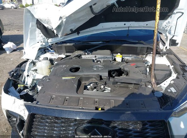 3PCAJ5FBXSF108282 2025 INFINITI QX50 White Вид ззаду