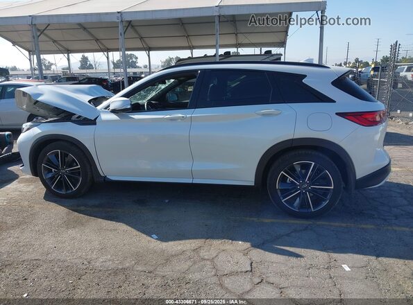 3PCAJ5FBXSF108282 2025 INFINITI QX50 White Вид задньої частини салону