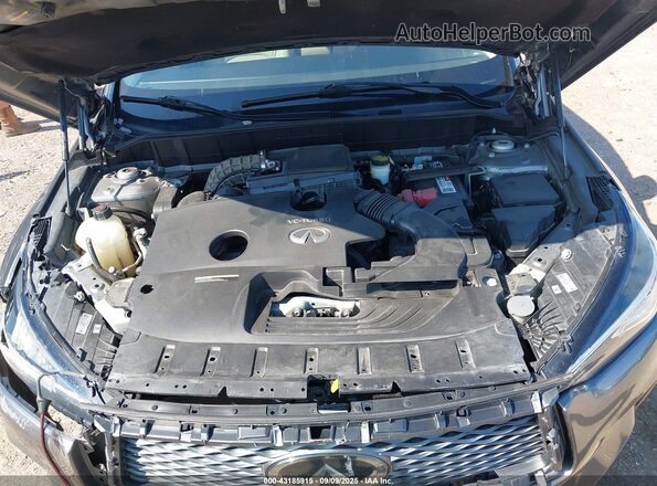 3PCAJ5M12LF100477 2020 INFINITI QX50 Gray Հետևի տեսք
