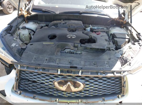 3PCAJ5M17LF117811 2020 INFINITI QX50 White Vista trasera