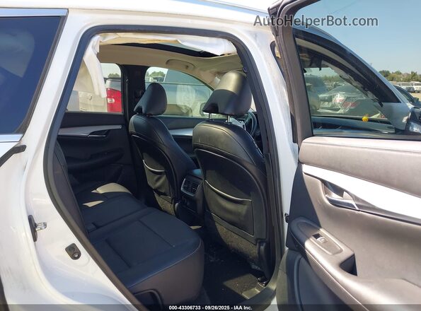 3PCAJ5M17LF117811 2020 INFINITI QX50 White Vista de la etiqueta del VIN