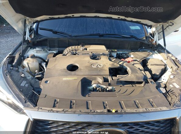 3PCAJ5M31LF108670 2020 INFINITI QX50 White Հետևի տեսք