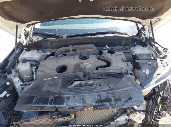 3PCAJ5M3XLF102589 2020 INFINITI QX50 Белый Вид сзади