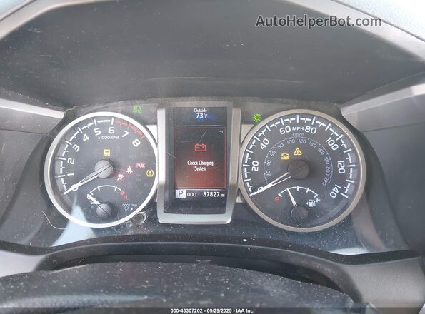 3TMBZ5DN0MM031348 2021 TOYOTA TACOMA Белый Вид задних сидений