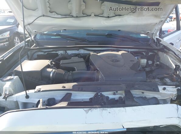 3TMBZ5DN0MM031348 2021 TOYOTA TACOMA Белый Вид сзади