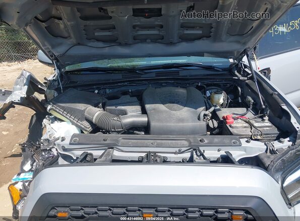 3TMCZ5AN3LM338116 2020 TOYOTA TACOMA Gray Вид ззаду
