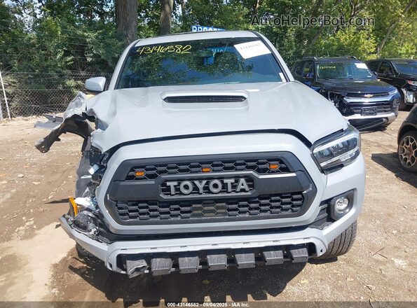 3TMCZ5AN3LM338116 2020 TOYOTA TACOMA Gray Вид щитка приладів
