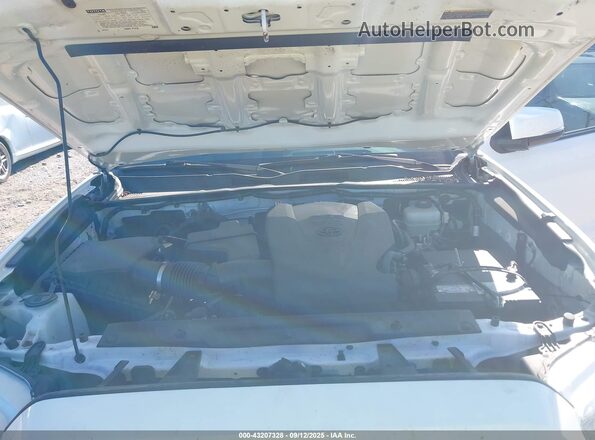 3TMCZ5AN5LM329238 2020 TOYOTA TACOMA White Vista trasera