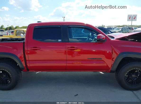 3TMCZ5AN6LM347358 2020 TOYOTA TACOMA Красный Вид задней части салона