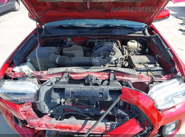 3TMCZ5AN6LM347358 2020 TOYOTA TACOMA Красный Вид сзади