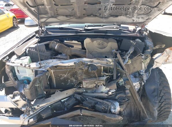 3TMCZ5AN7LM339575 2020 TOYOTA TACOMA Gray Widok z tyłu