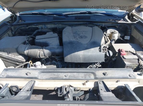 3TMCZ5AN9LM303449 2020 TOYOTA TACOMA Коричневый Вид сзади