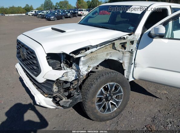 3TMCZ5AN9LM341733 2020 TOYOTA TACOMA Белый Вид спереди