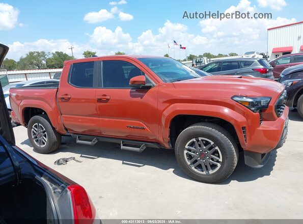 3TMKB5FN9SM035400 2025 TOYOTA TACOMA Orange Вид задньої частини салону