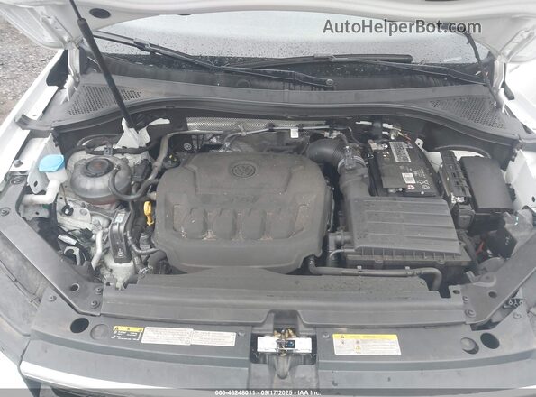 3VV2B7AX9MM113182 2021 VOLKSWAGEN TIGUAN White Вид ззаду