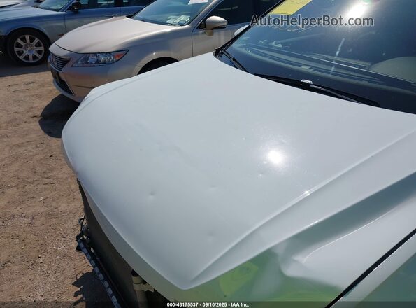 3VV4B7AX9MM157188 2021 VOLKSWAGEN TIGUAN White Vista frontal