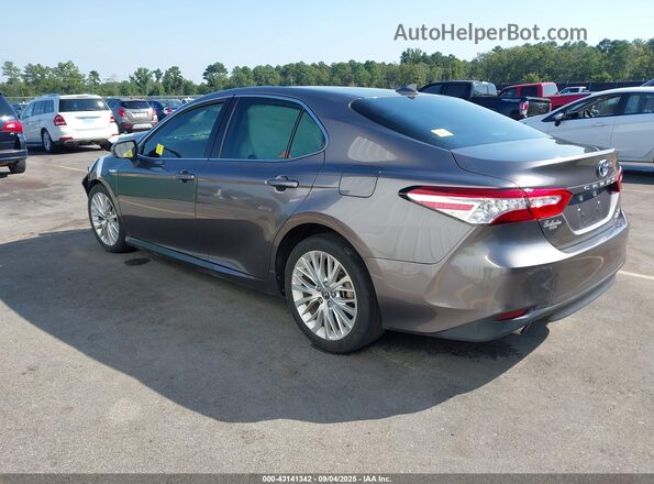 4T1F31AK2LU016720 2020 TOYOTA LE Gray Tył lewy