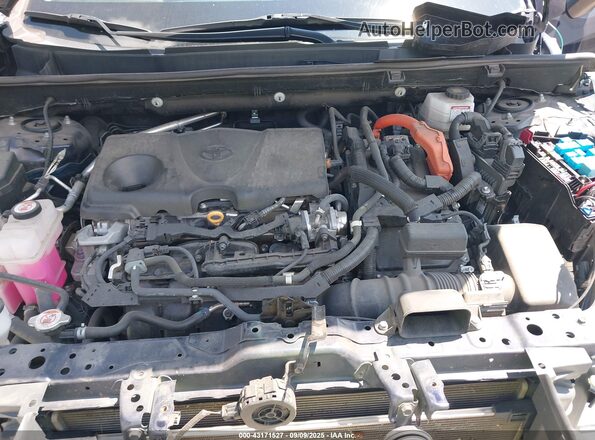 4T3D6RFV1NU074893 2022 TOYOTA LIMITED Dark Blue Вид сзади