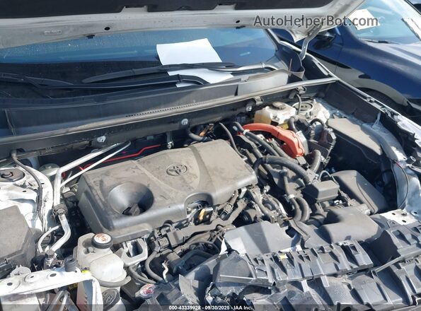 4T3E6RFVXMU027297 2021 TOYOTA RAV4 HYBRID Белый Вид сзади