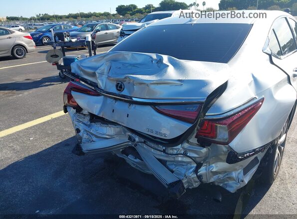 58ACZ1B17LU056808 2020 LEXUS ES Gray 