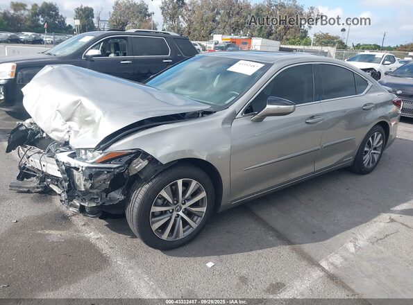 58AD21B16LU007981 2020 LEXUS ES 300H Silver Передня ліва чверть