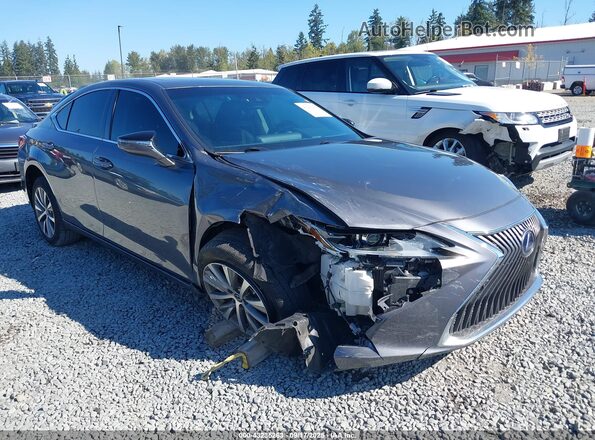 58AD21B19LU005349 2020 LEXUS ES Gray Widok z przodu