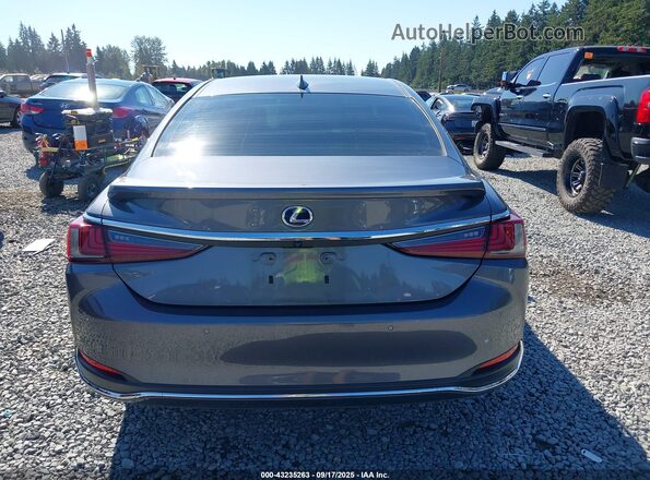 58AD21B19LU005349 2020 LEXUS ES Gray 