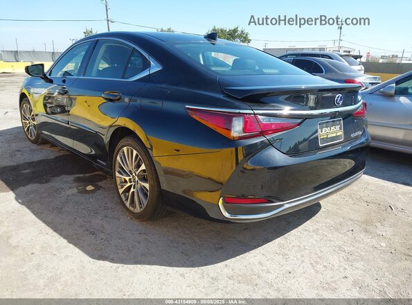 58AD21B19LU009773 2020 LEXUS ES Black Задня ліва чверть