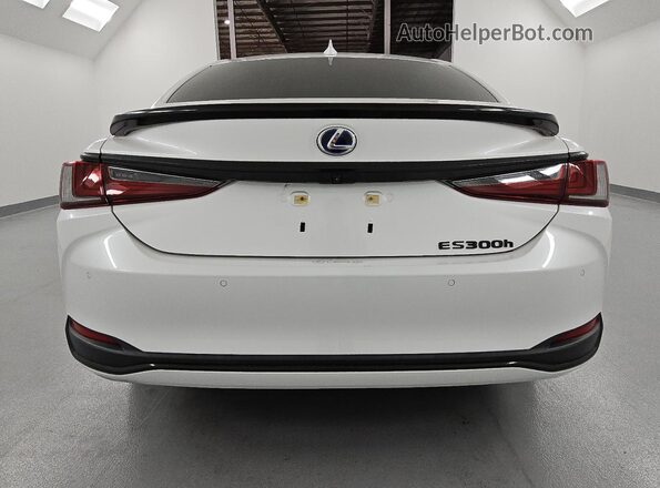 58ADA1C19MU012501 2021 LEXUS ES White Rear view
